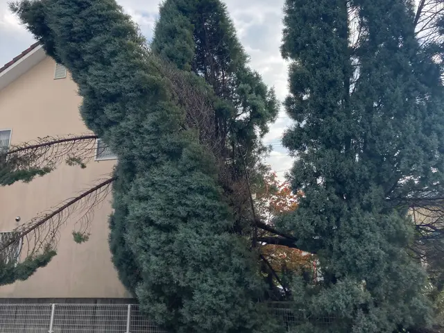 【業歴17年の経験と実績】対応地域外も対応OK！迅速丁寧に仕上げます！サービスの画像