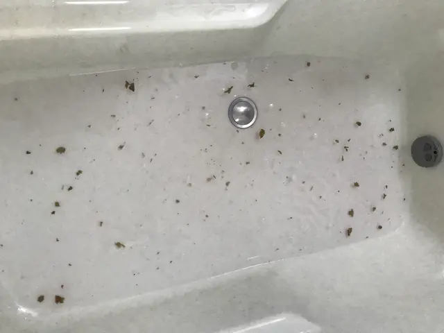 10/31〜◆2022アワード入選サービスの画像