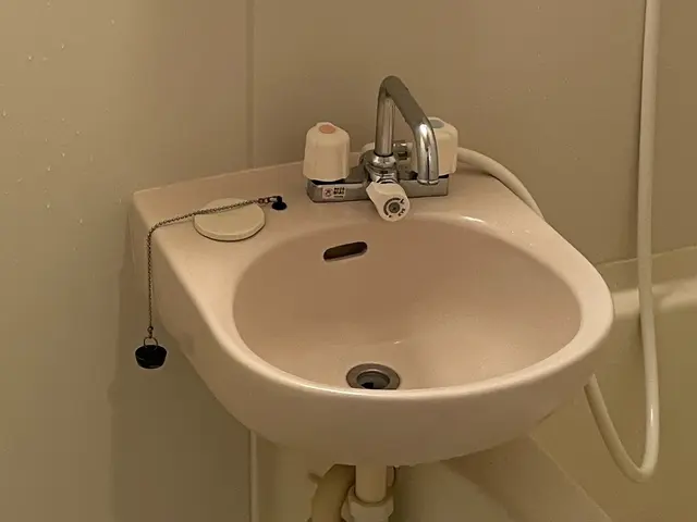 【クレカ払い可能】洗面所クリーニングサービスの画像