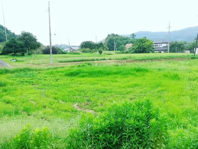 ◎庭園管理士が岩国市より各地にお伺いします。◎対応地域外でもご要望お聞きします。サービスの画像