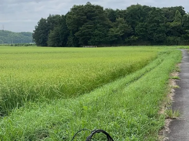 ◎庭園管理士が岩国市より各地にお伺いします。◎対応地域外でもご要望お聞きします。サービスの画像