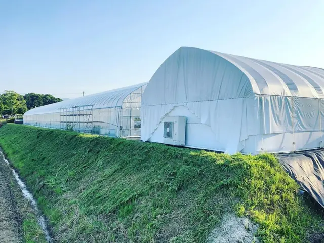 ◎庭園管理士が岩国市より各地にお伺いします。◎対応地域外でもご要望お聞きします。サービスの画像
