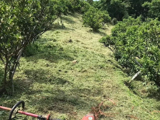 ◎庭園管理士が岩国市より各地にお伺いします。◎対応地域外でもご要望お聞きします。サービスの画像