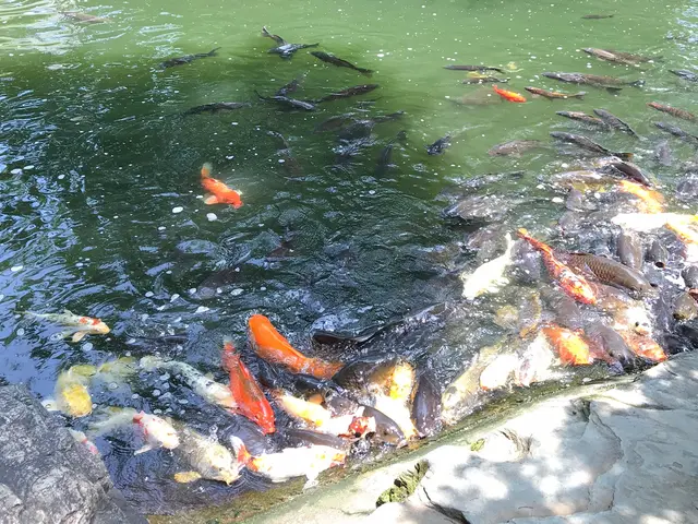 結構式・披露宴の代理出席。必要であれば受付もお任せください！サービスの画像