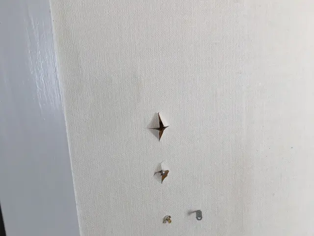 技とお値段で応援！壁穴、壁紙補修！適正安心サービスを提供します。サービスの画像