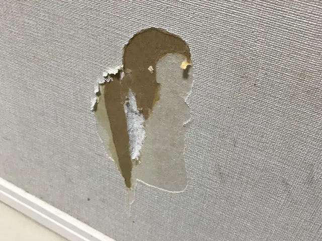 技とお値段で応援！壁穴、壁紙補修！適正安心サービスを提供します。サービスの画像