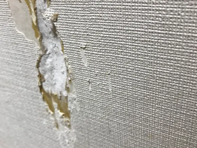 技とお値段で応援！壁穴、壁紙補修！適正安心サービスを提供します。サービスの画像