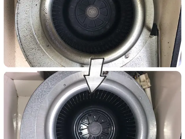 ★セットでお得！☆お子様、環境に優しい天然植物洗剤を使用！サービスの画像