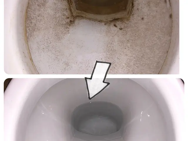 ★セットでお得！☆お子様、環境に優しい天然植物洗剤を使用！サービスの画像