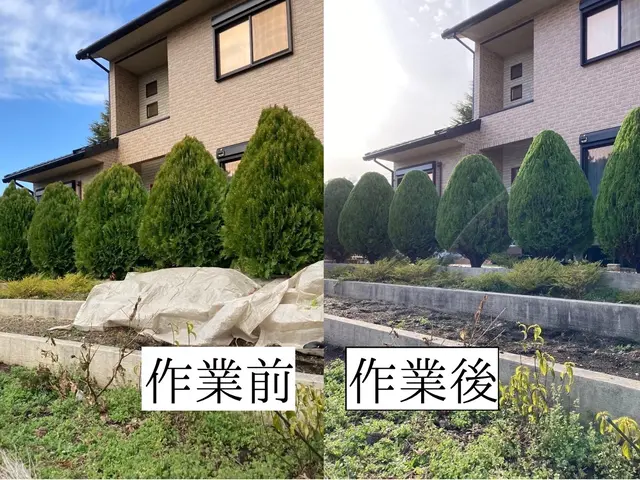 仕事の早さ◎クレカ対応OK◎丁寧で自然な仕上がり◎庭木1本からでもお任せくださいサービスの画像