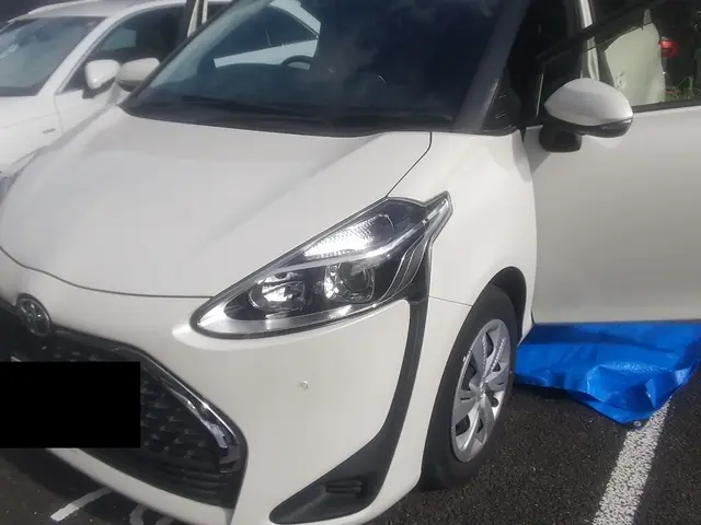 クレカ損害保険対応【カーシートクリーニング】ソクリの出張サービスで愛車の内装洗浄サービスの画像