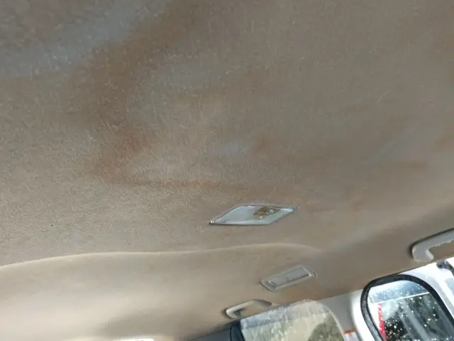 【車内嘔吐トラブル専門】臭い戻りを原因から丸洗い除去｜出張即対応・当日相談可サービスの画像