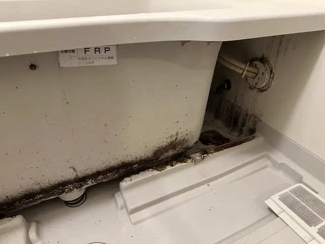 9年以上実績信頼安心”３月いっぱいまで”出店祝い今だけの期間限定値段☆サービスの画像