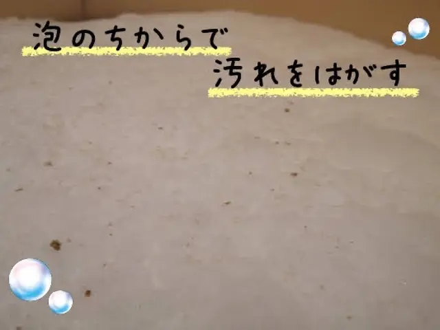 【人とモノに優しいお掃除】湯船のお湯をリセット！女性スタッフと2名で訪問サービスの画像