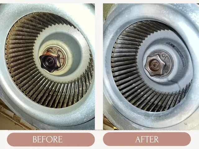 【年末大掃除早割キャンペーン中】レンジフードの掃除サービスの画像