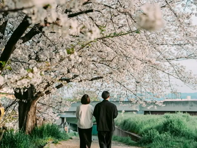 ◎プロの技術でご満足いただけるように心を込めて撮影いたします