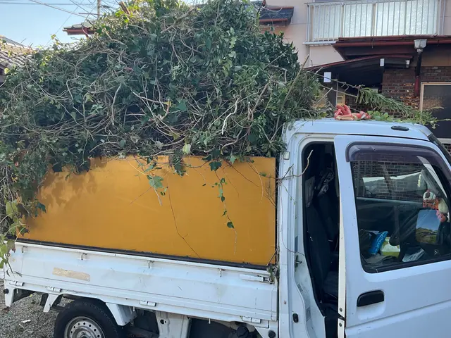 【大掃除！不用品回収でスッキリ快適に！】空きあります！サービスの画像