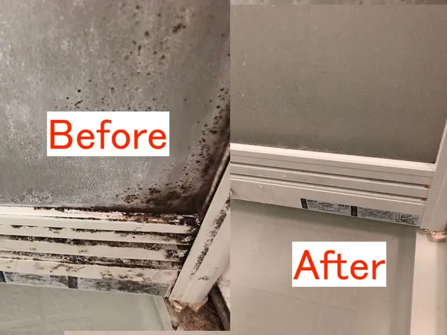 ■大掃除の予約はお早めに！■石鹸カスや黒カビ、水垢除去を4時間しっかりやります！サービスの画像