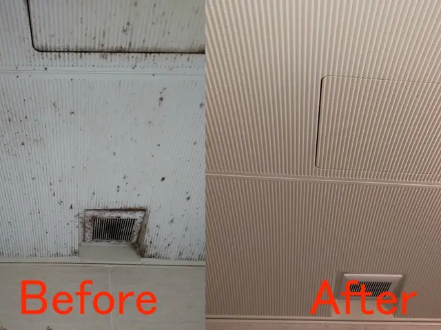 ■大掃除の予約はお早めに！■石鹸カスや黒カビ、水垢除去を4時間しっかりやります！サービスの画像