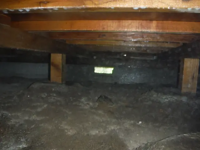 ★業歴10年☆再開記念特別限定価格実施中★実績多数☆５年保証★写真データ送付☆サービスの画像