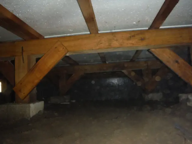 ★業歴10年☆再開記念特別限定価格実施中★実績多数☆５年保証★写真データ送付☆サービスの画像