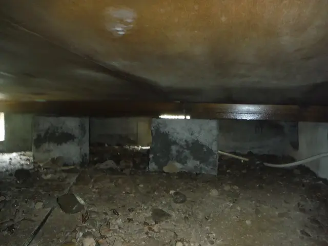 ★業歴10年☆再開記念特別限定価格実施中★実績多数☆５年保証★写真データ送付☆サービスの画像