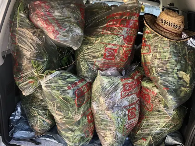 ◆名古屋市発◆年中無休◎女性スタッフ同行可能◎アフターフォローもばっちり！サービスの画像