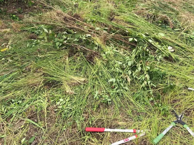 ◆名古屋市発◆年中無休◎女性スタッフ同行可能◎アフターフォローもばっちり！サービスの画像