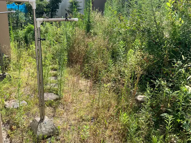 職人っぽくないフランクな対応が売りです！当日対応可能な草むしりサービスサービスの画像