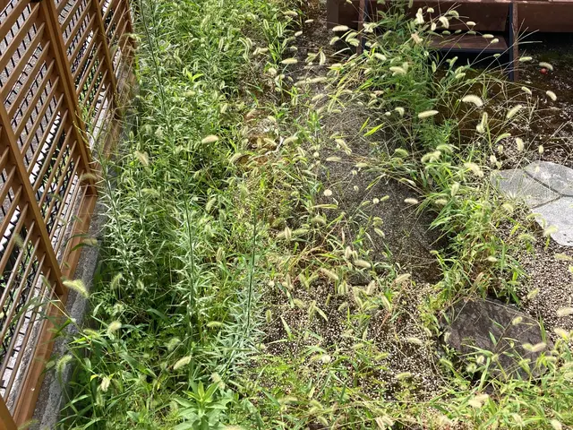 職人っぽくないフランクな対応が売りです！当日対応可能な草むしりサービスサービスの画像