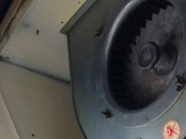 ☆大手企業の下請経験豊富☆女性スタッフ多数！きめ細やかなサービスを提供します！サービスの画像