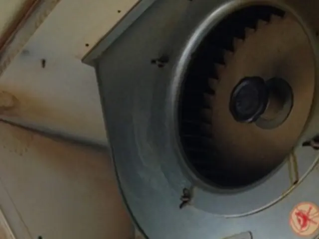 ☆大手企業の下請経験豊富☆女性スタッフ多数！きめ細やかなサービスを提供します！サービスの画像