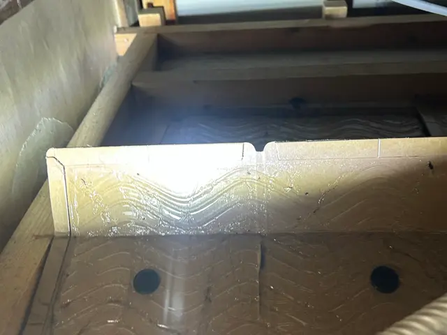 元大手経験者が駆け付ける！女性スタッフ同行対応の害虫解決サービスサービスの画像