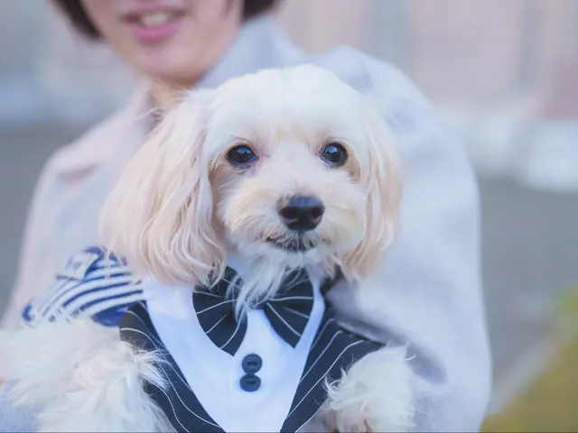 大切な家族とのお時間を、ロケーション撮影で永遠に残すお手伝いをさせて頂いてます♪