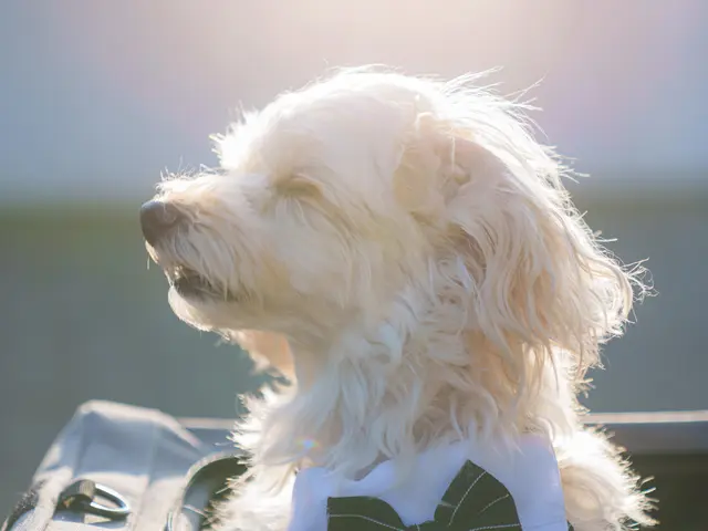 大切な家族とのお時間を、ロケーション撮影で永遠に残すお手伝いをさせて頂いてます♪