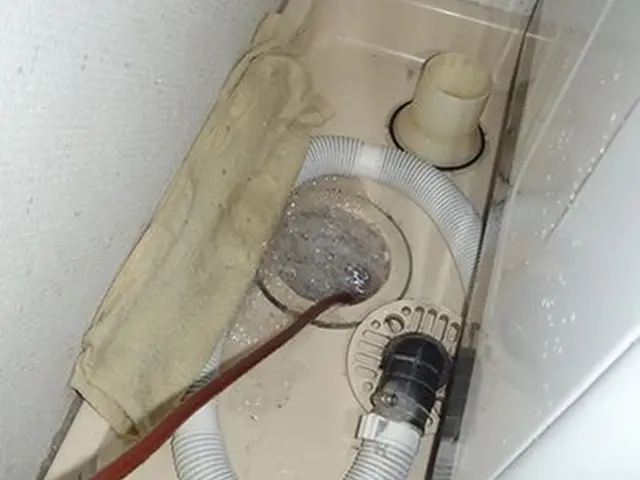 【コロナ対策対応！】見逃しがちな、手をつけにくい排水口の管内の清掃をしませんか？サービスの画像