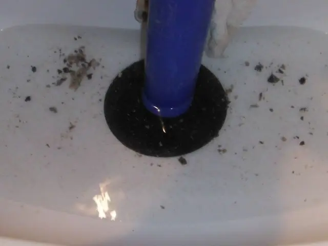 【コロナ対策対応！】見逃しがちな、手をつけにくい排水口の管内の清掃をしませんか？サービスの画像