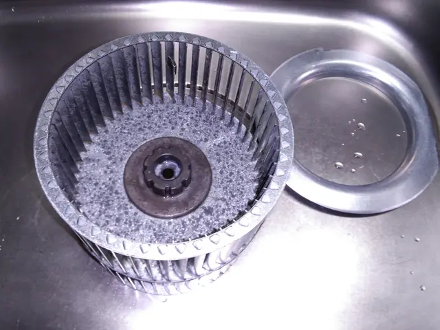 ファン・フード分解してキレイにします！大手会社請負実績。【ハウスクリン石川金沢】サービスの画像