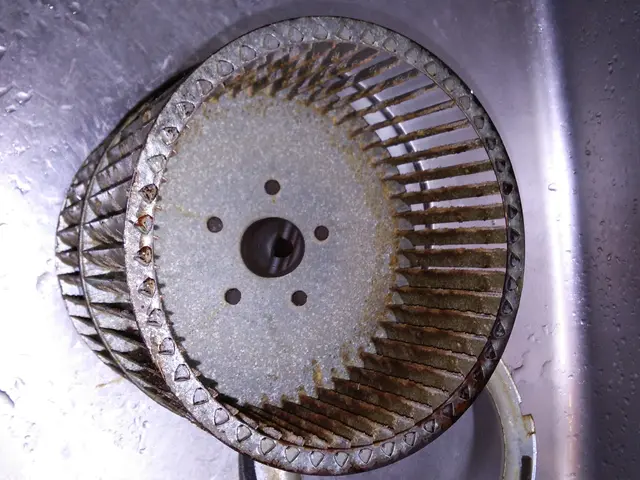 ファン・フード分解してキレイにします！大手会社請負実績。【ハウスクリン石川金沢】サービスの画像