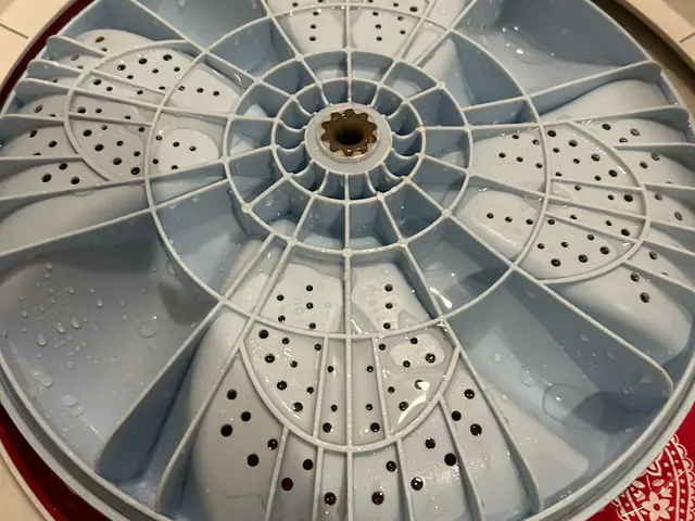 プロの技で新品級！カビ汚れゼロにして匂いの根源を断絶しましょう！サービスの画像