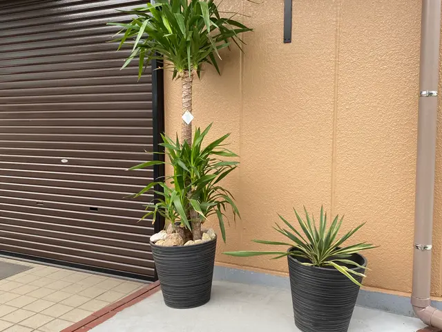 お客様から信頼いただけるよう、一つ一つの作業を迅速丁寧に対応します！サービスの画像