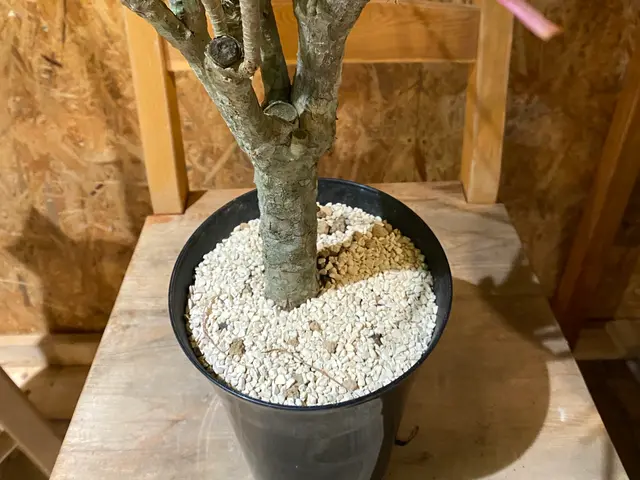 お客様から信頼いただけるよう、一つ一つの作業を迅速丁寧に対応します！サービスの画像