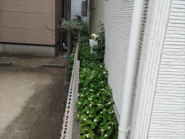 女性スタッフの同行OK◎作業外注一切なし◎当社スタッフがすべてご対応！サービスの画像