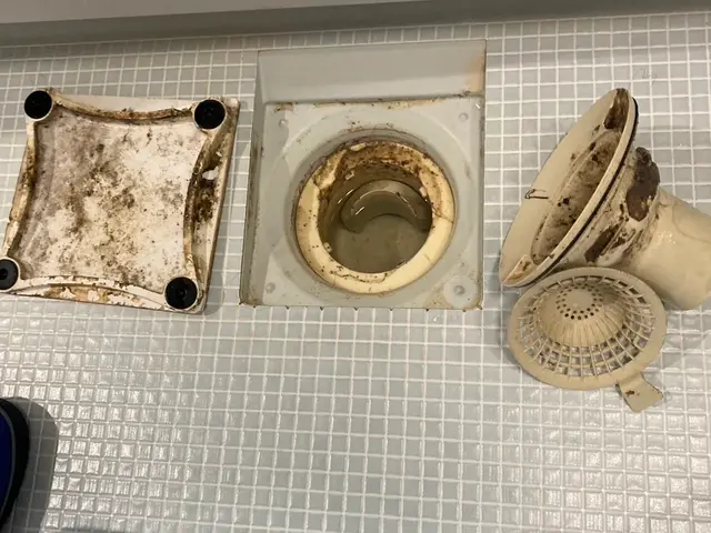 ◇1月・2月は通常15,000円⇨13,000円◇ハウスクリーニング士資格取得◇サービスの画像