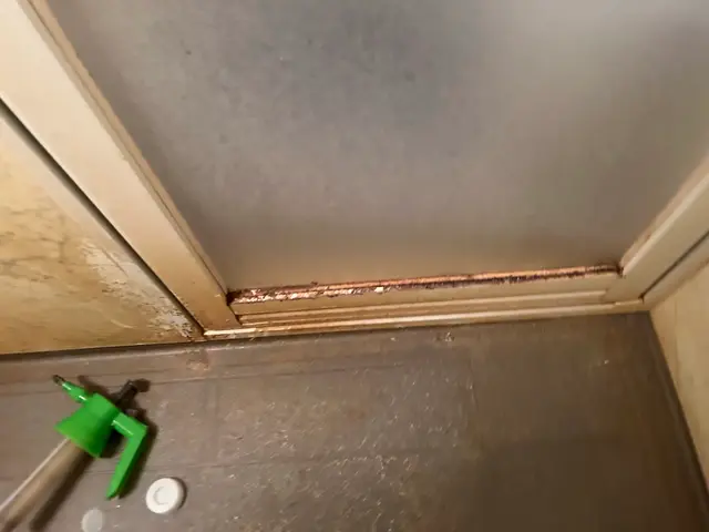 ◇1月・2月は通常15,000円⇨13,000円◇ハウスクリーニング士資格取得◇サービスの画像