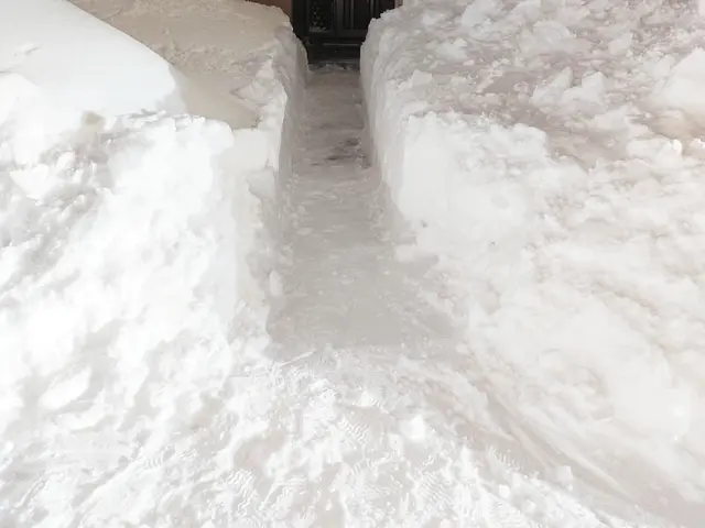 玄関から道路までのアプローチ除雪サービス玄関前や駐車場所の満足除雪サービスサービスの画像