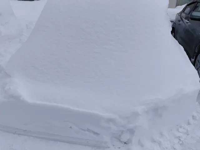 玄関から道路までのアプローチ除雪サービス玄関前や駐車場所の満足除雪サービスサービスの画像