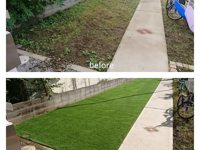 【活緑】芝張り施工　天然芝(高麗芝)　☆厚生労働大臣認可一級造園技能士☆サービスの画像