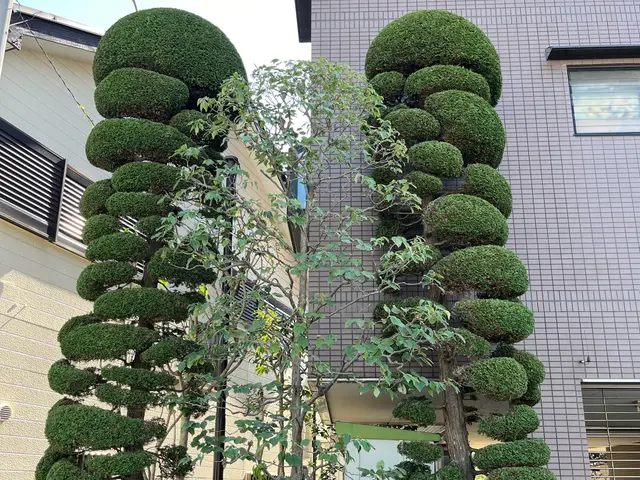 1本〜でもO.K! 手に負えなくなったお庭、綺麗に致します。サービスの画像