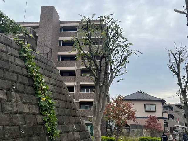 1本〜でもO.K! 手に負えなくなったお庭、綺麗に致します。サービスの画像